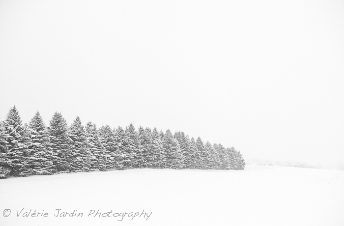 Black and White Landscapes