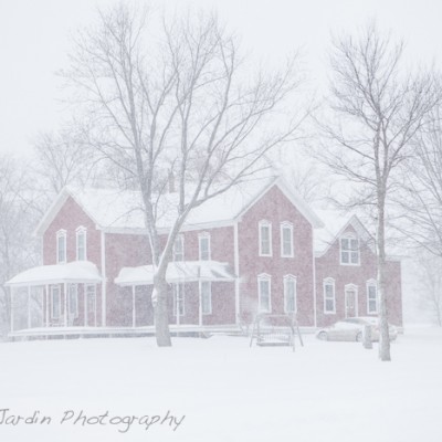 Living In A Black & White Landscape